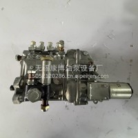 DENSO高压油泵0920005421柴油泵32C6502311总成/0920005421