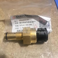 燃油堵塞传感器/D5010222120