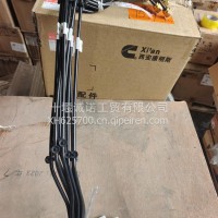 康明斯油管总成6601851/P6601851