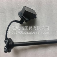 C5537310点火线圈总成/5537310