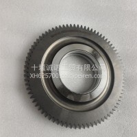 5615153X惰轮齿/5615153X