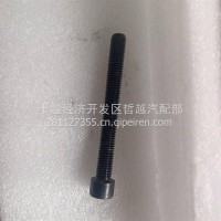 螺栓-后处理器箍带/1205276-TL100