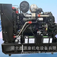 潍柴WP7G300E300发动机总成/WP7G300E300