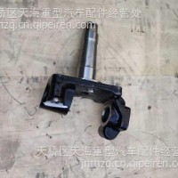 转向节/DZ9100410301