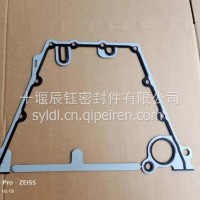 5558309/5714602 机油泵密封垫/5714602