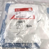 适用于进口康明斯发动机配件 工程机械柴油机配件 滚销 圆柱销 68171 /68171