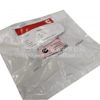 适配 进口康明斯发动机配件 重康 NT855工程机械 柴油机六角螺栓 185804/185804