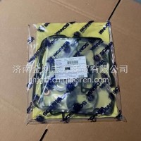551363 Cylinder Gasket/551363