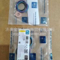 1.31206 Cylinder Gasket/1.31206