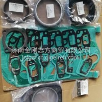1003010859 Cylinder Gasket /1003010859