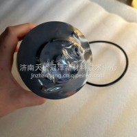 燃油滤芯/4000920005