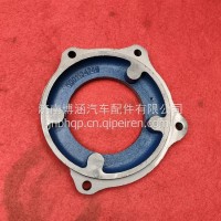 喷油泵法兰/100113474
