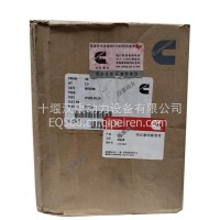 适用于康明斯KTA38 QSK38 工程机械柴油机 惰轮轴 4101094 惰轮臂/4101094