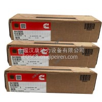 适配康明斯发动机总成配件 工程机械柴油机 输油泵 油泵 6413638/6413638