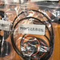 发动机修理包1002345064/10023456064