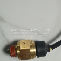 空挡开关/990.12.71.0041-13