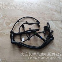 大柴道依茨维修配件AA12发动机线束/3724815AA12