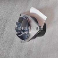 东风天龙康明斯9.5发动机水泵/C5716866
