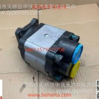 G14500001 液压齿轮泵后出/G14500001