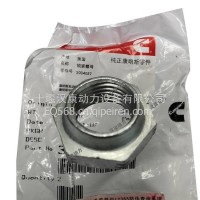 适配康明斯发动机总成配件 QSK38 NT855工程机锁紧螺母 3004057/3004057