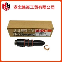 适配重庆康明斯NTA855发动机配件喷油器总成油嘴3054218/3054218