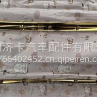 保险杠装饰条 金AZ16D424000156C7A类/AZ16D424000156