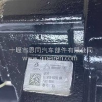东风天龙旗舰KX/GX/KL/K6/天锦东风龙擎4H燃油泵/1111010-E8230