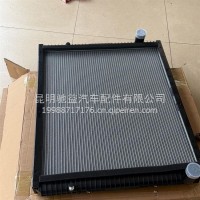 散热器总成新统帅/LG9716530634Y