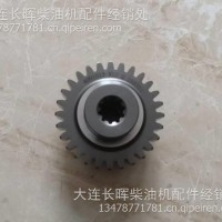 大柴道依茨维修配件X52液压泵驱动齿/4001013-X52