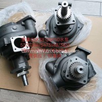 水泵/QSK38 QSK50水泵 5376264/5473148/3651198/5376264 OEM