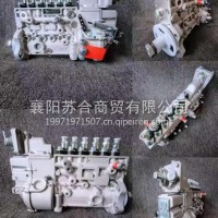 5301583 / 6PH163 康明斯LK375-33发动机燃油泵总成/5301583