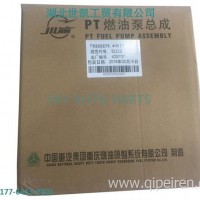 重庆康明斯K1090-PT燃油泵总成D155加滤清器柴油发动机 4061206/4061206