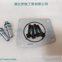 康明斯高压燃油泵3973228 5594766配件齿轮输油泵垫片 4928575/4928575