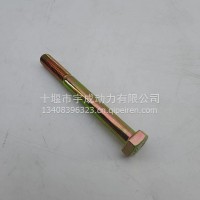 适用于4BT3.9/6BT5.9发动机 摇臂 六角头螺栓 C3901221 SCREW，HEXAGON HEAD CAP/3901221