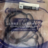 1005798790气门室盖垫胶圈/1005798790