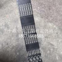多楔带C4389194/C5580036/C4389194/C5580036