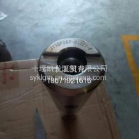 JY30FS6P-01021-F 转向节主销/JY30FS6P-01021-F