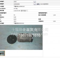 229002855 气囊总成916/229002855