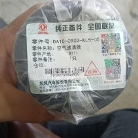 DA10-0902-KL5-05 滤芯/DA10-0902-KL5-05