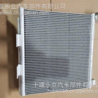 TYLPAL200天然气新款 冷凝器 /带 支架 /TYLPAL200