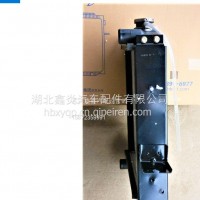 东风轻卡水箱PA101雷迪特1301010-PA101/1301010-PA101