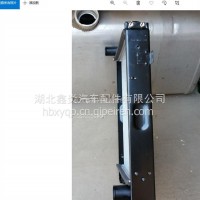 东风轻卡水箱E32504雷迪特1301010-E32504/1301010-E32504