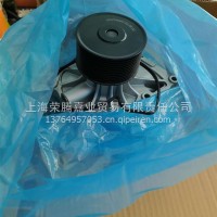 1001996663水泵总成 6663 P8/1001996663