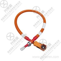 高压电缆总成-蓄电池正至高压配电盒正-东风新能源 High-voltage cable assembly-Dongfeng New Energy/2105030-TE8M1