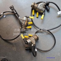0444025108尿素喷嘴总成 大通大通YC/0444025108