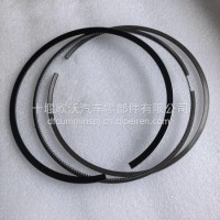 适用于重庆康明斯QSK23发动机配件活塞环 4025382/4025382
