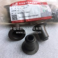 15N天然气发动机气门油封/6551859