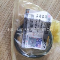 EGR出气阀密封垫/C3104230
