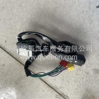 WG9730583118左组合开关豪沃沃衡/WG9730583118