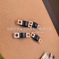 100A100A保险片山东100A/G009954581